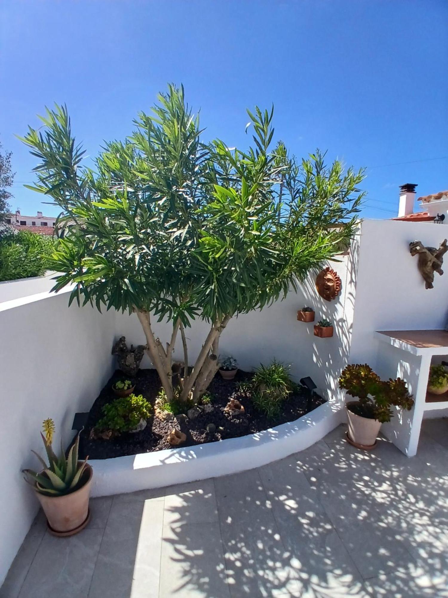 Tramontana Villa Cala En Porter  エクステリア 写真
